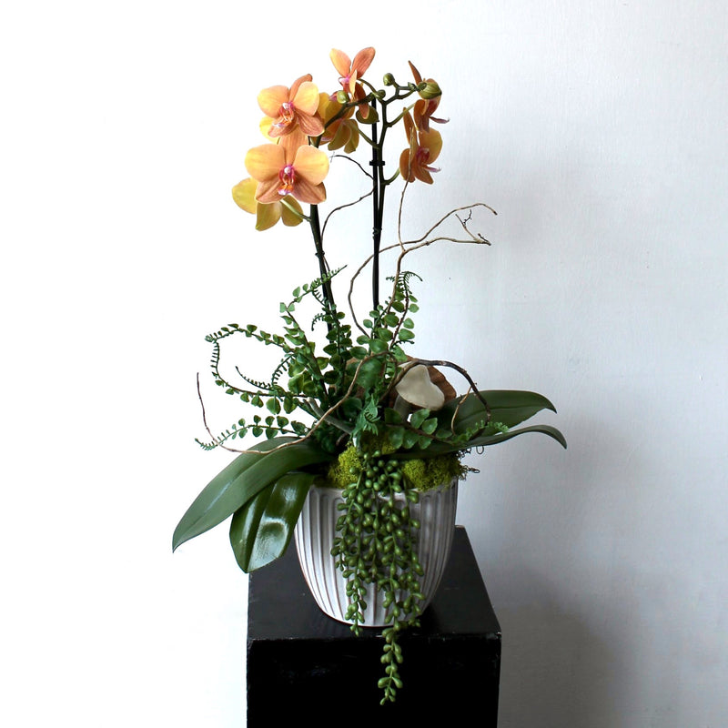 Dried Seasonal Bouquet