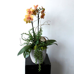 Dried Seasonal Bouquet
