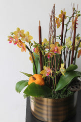 Harvest Sunset Mini Orchid Planter