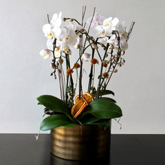 Dried Seasonal Bouquet