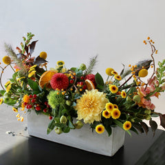 Dramatic Autumn Garden
