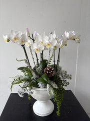 Silent Night Arrangement