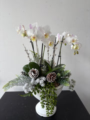 Silent Night Arrangement