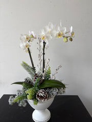 Silent Night Arrangement