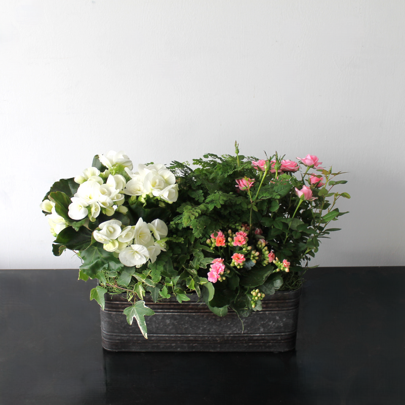 White and Pink Mom Planter