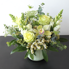 Ivory and Sage