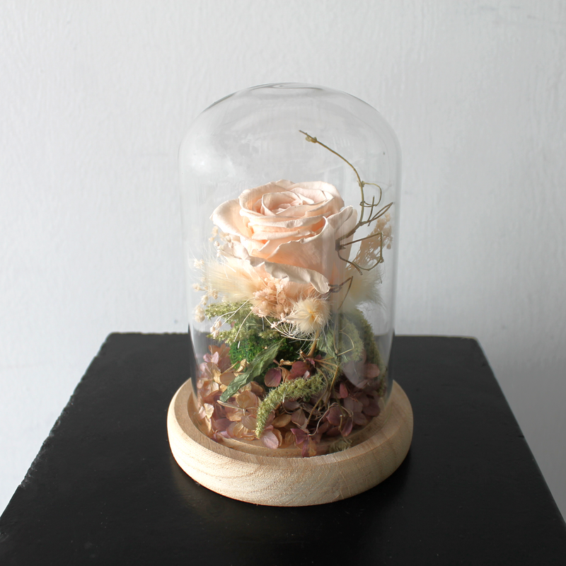 Dried Pastel Cloche