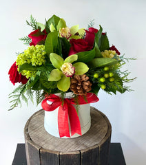 Noel Hatbox