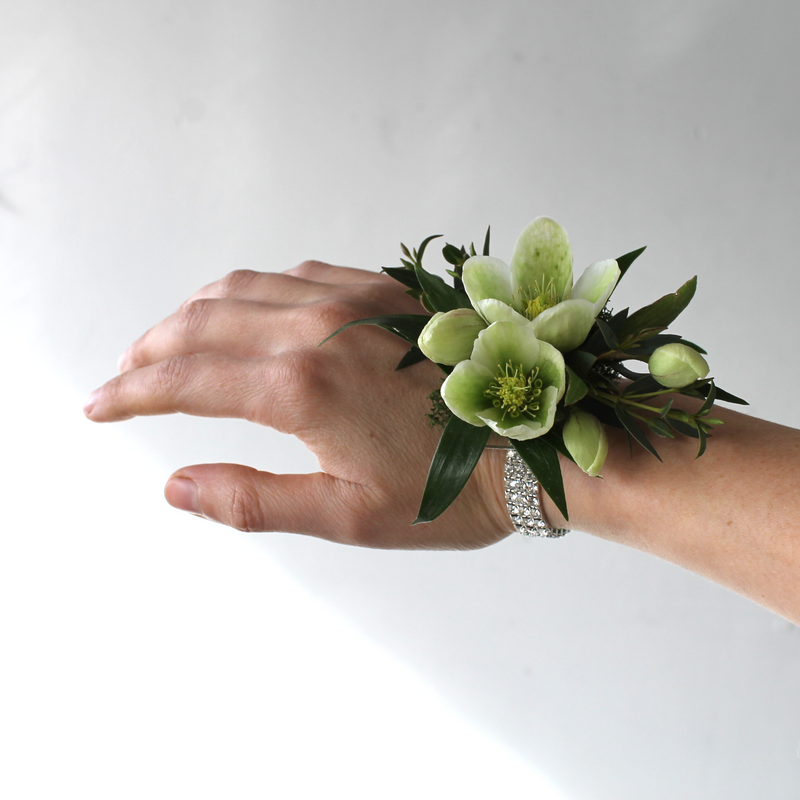 The Helleborus Corsage