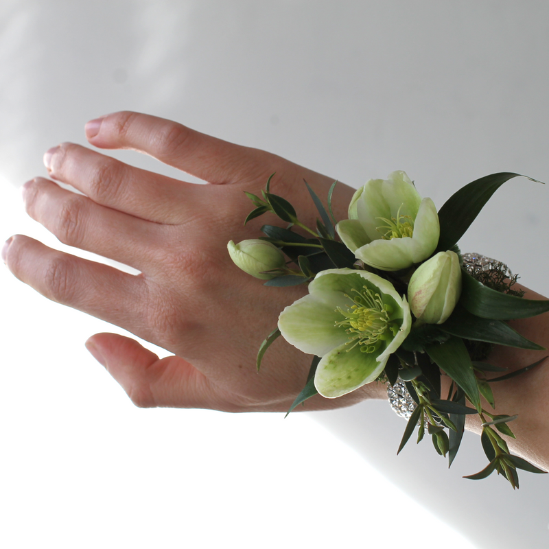 The Helleborus Corsage