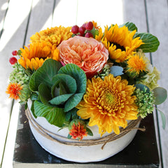 Glowing Dish Garden