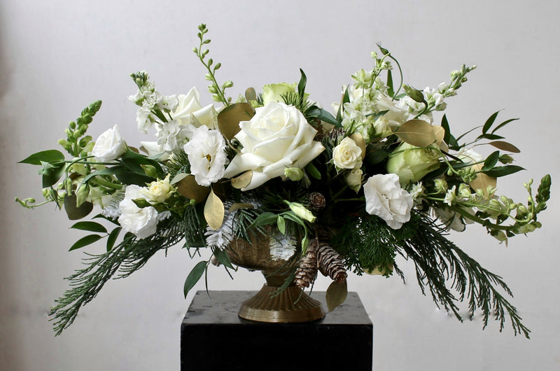 The Christmas Rose
