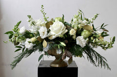 The Christmas Rose