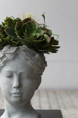 Permenant Botanical Succulent Goddess Head