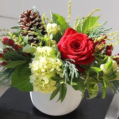 Comfort and Joy Arrangement
