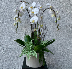 The Elegant Hatbox